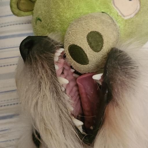 mrthecooper