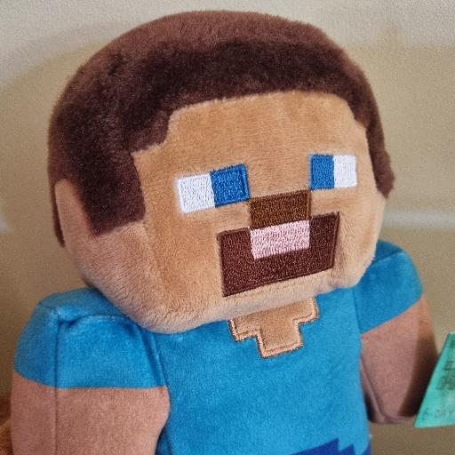 i_am_steve
