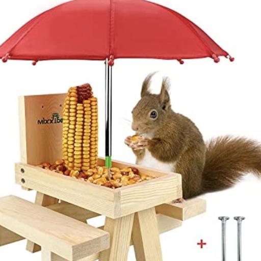 Squirreling_nuts
