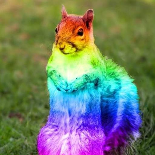SquirrelGirl79