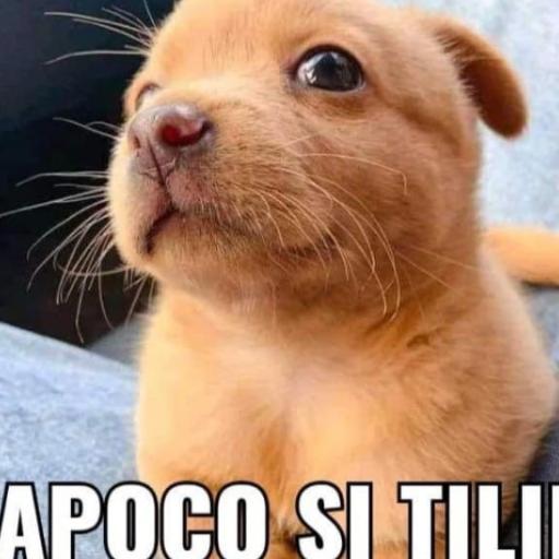 Nioz