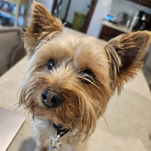 ChurroBucket