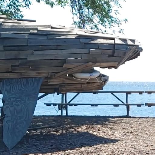 SalamanderMN