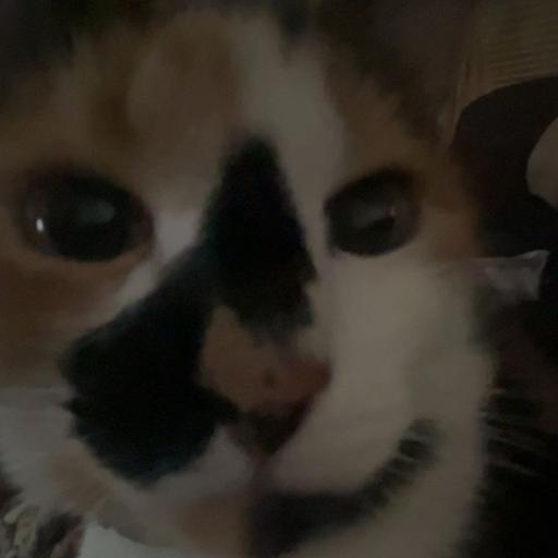 pigprincess44