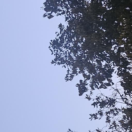 JRJ_25