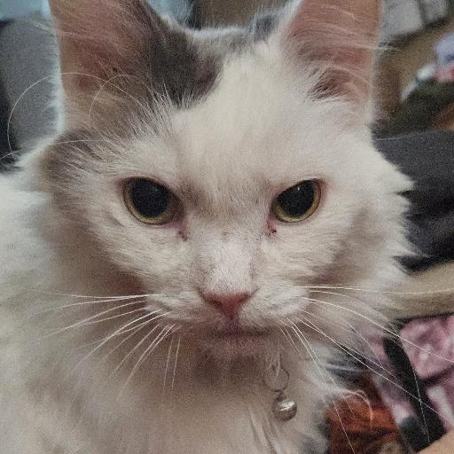 tekguru