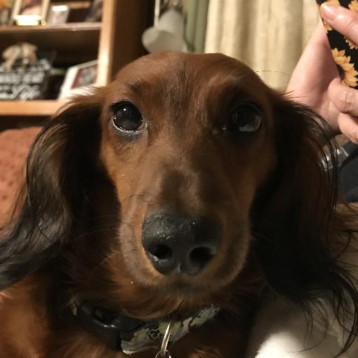 AuggieMarie