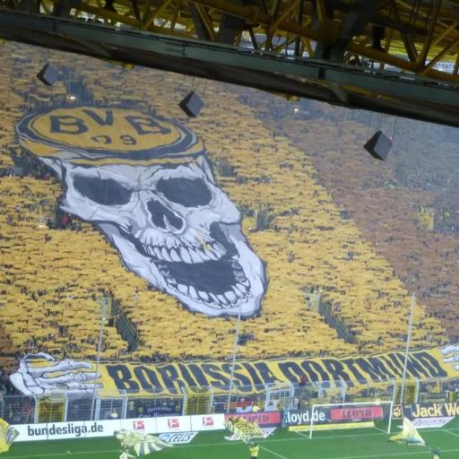 BVBDONALD
