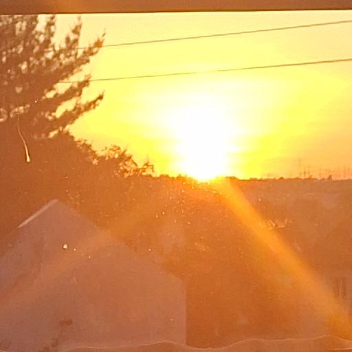 Koejacks