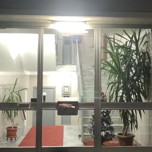 quasuquigiu