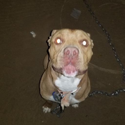 GoodBoy78