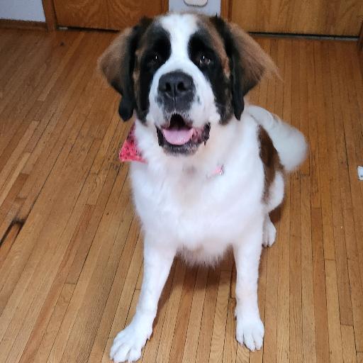 georgiethesaint