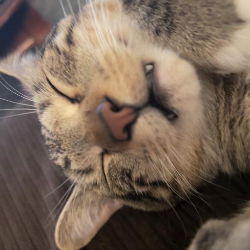 Smooshshady