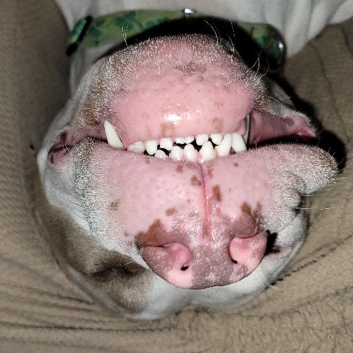 APBT_F2P