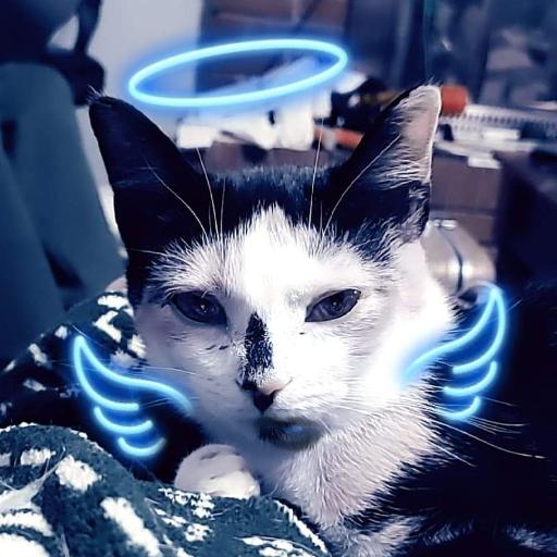 niatheangel