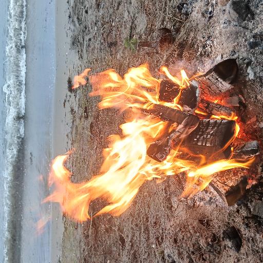 Teust