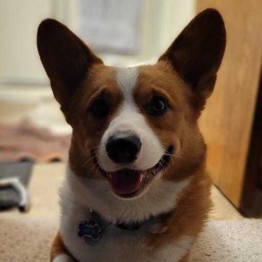 wigglesdad