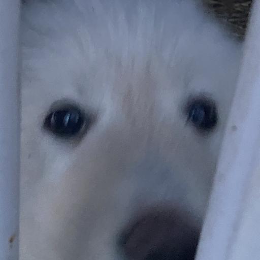 PTBGJ