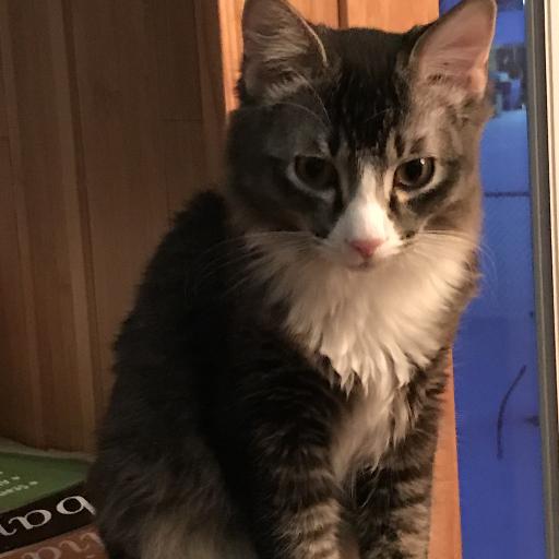 MissMiaBella