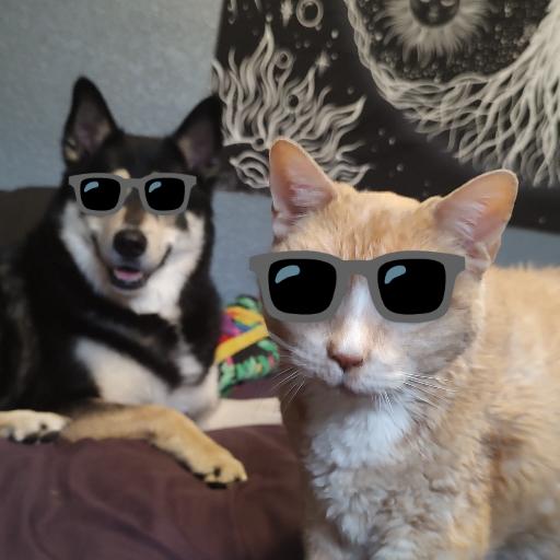 dmntdmtsk