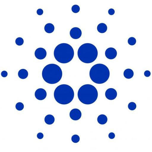 Cryptodad49