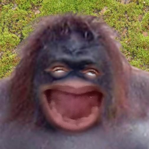B0BSAGET