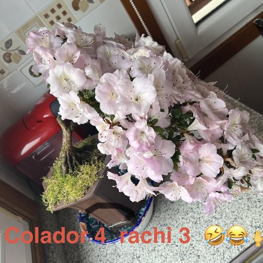 Raulbc