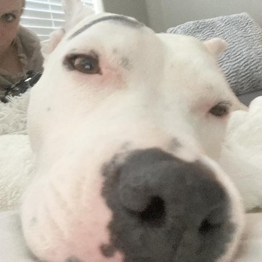 Ahuddle