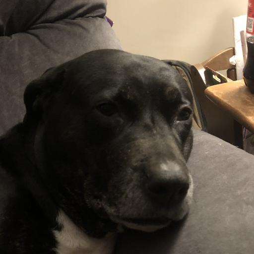 Dawg1