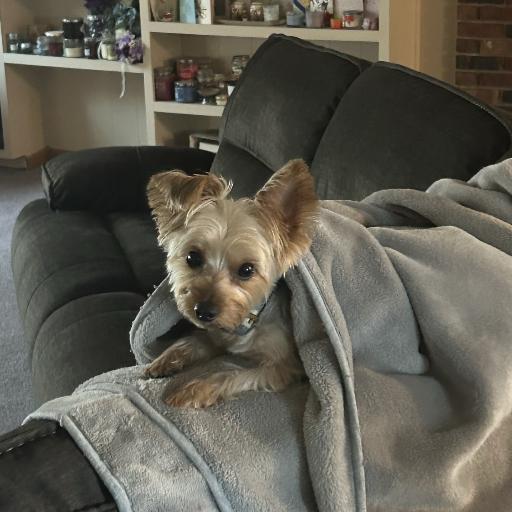 Babyvi