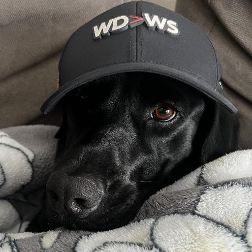 Eldoge