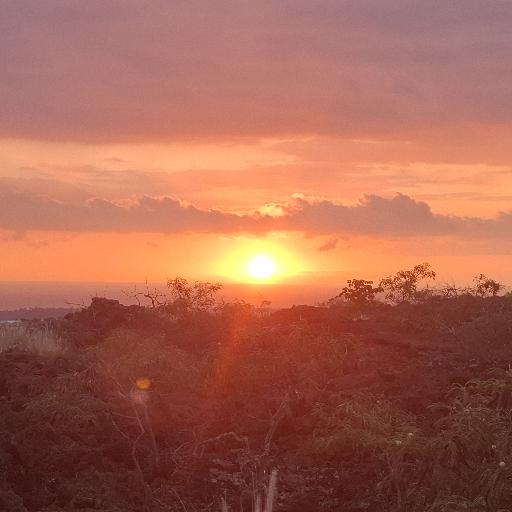 kingofbigisland