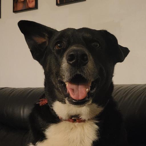 Clarkbark
