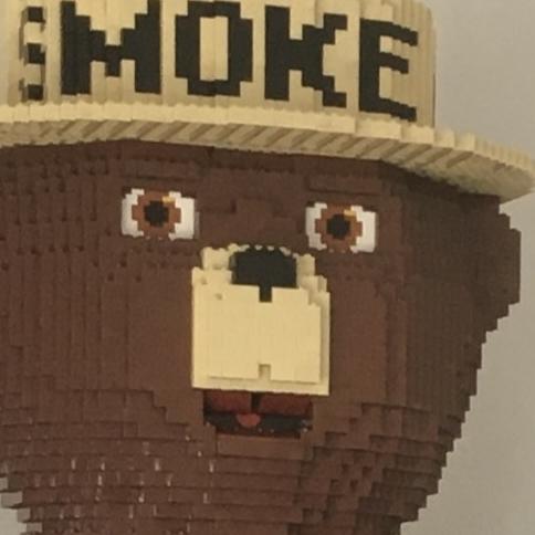 LegoNerd