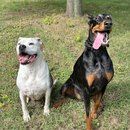Libbyandfenrir