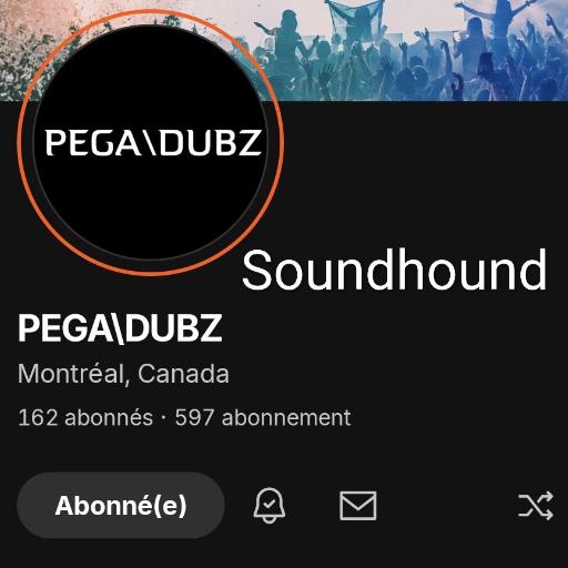 PEGADUBZ