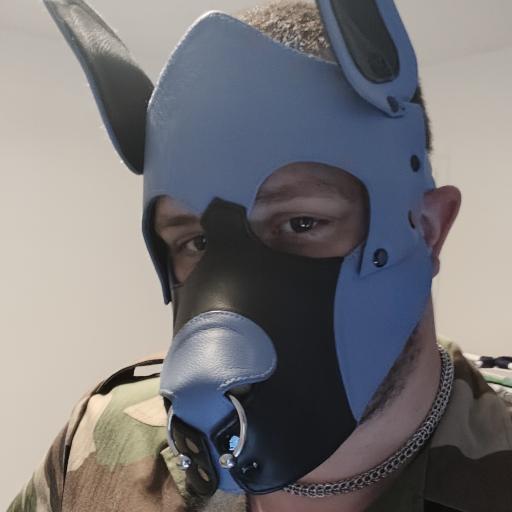 CryoLeatherPup