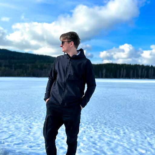 VladimirZ