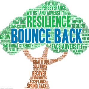 The_Resilience