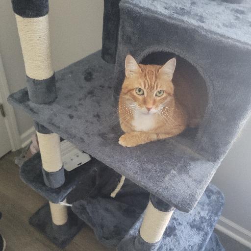 mreow