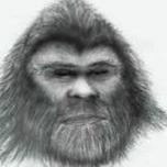 Mountainking
