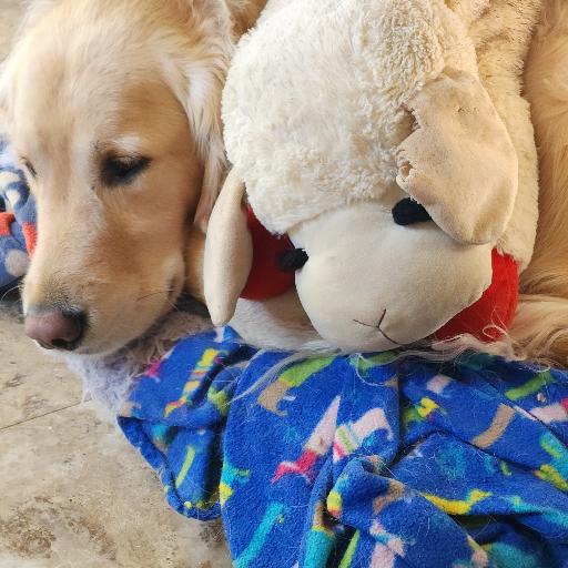 Jaxdog