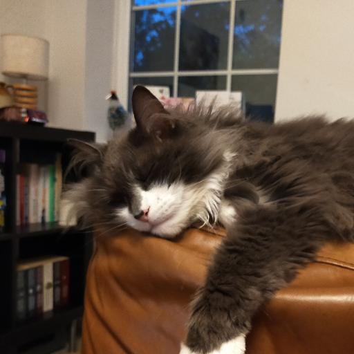 Fluffball11