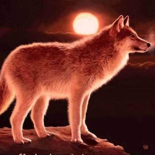 CryptoWolf907