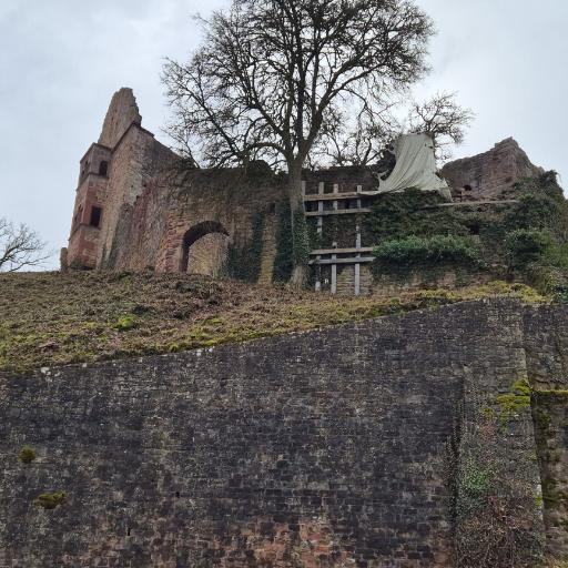 svwaldhof