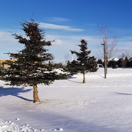 snowview