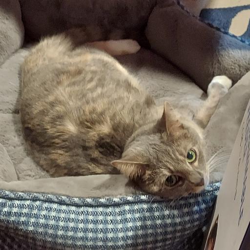 Logan