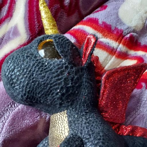 ohiodragon