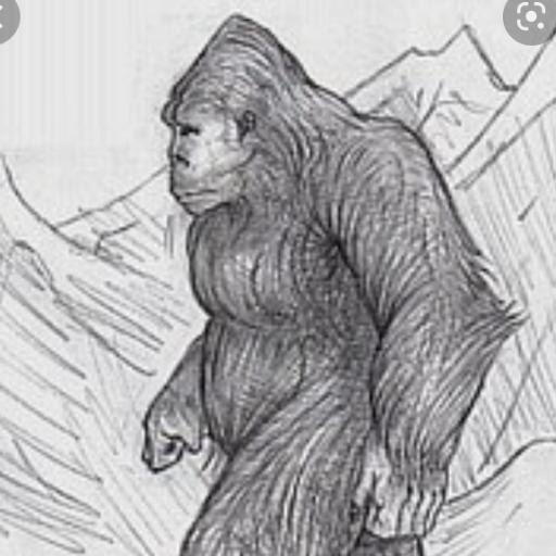 KtownYeti