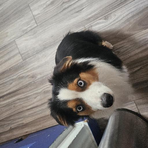 SkoomaFreak